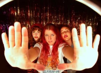 LES NUITS DE L’ALLIGATOR