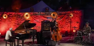 JAZZ UP SOUS LES OLIVIERS