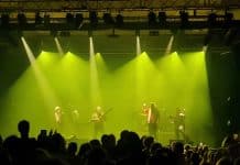 LES NEGRESSES VERTES