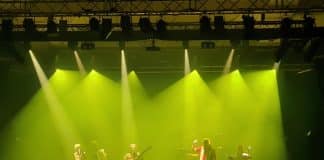 LES NEGRESSES VERTES